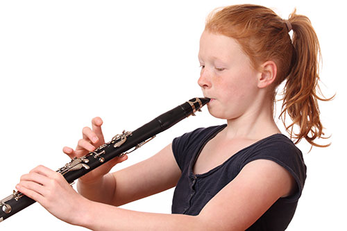 clarinet and flute classes in MI